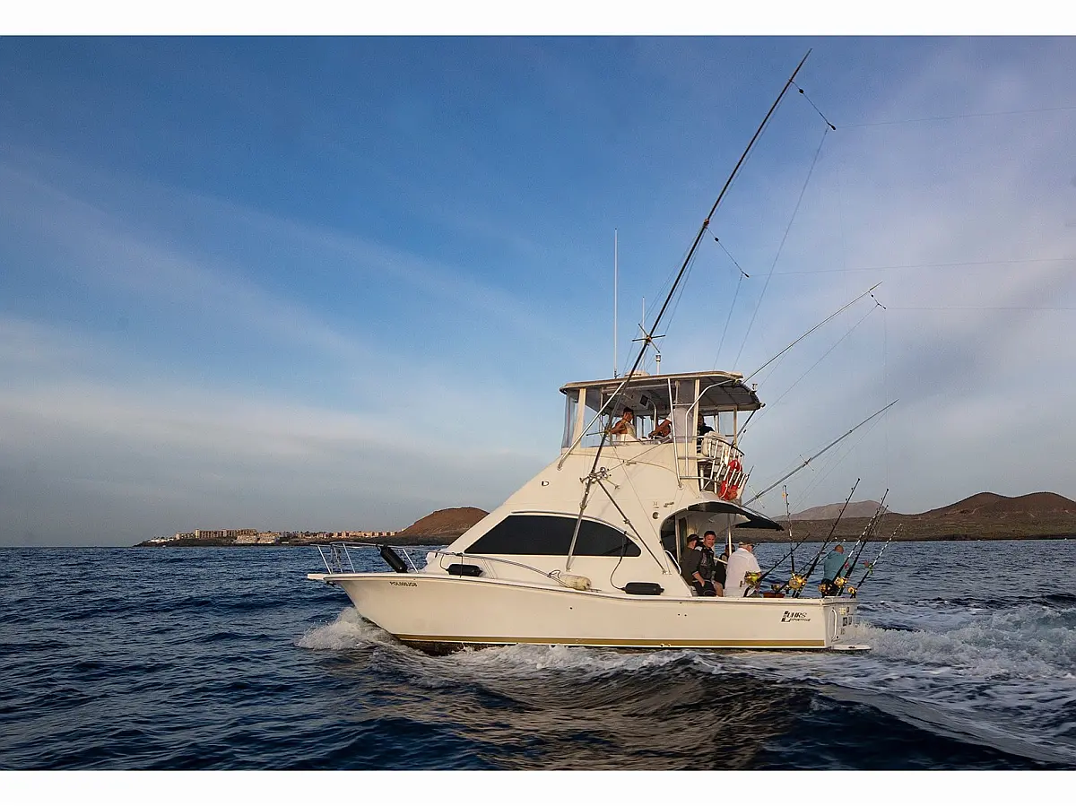 Luhrs 340 