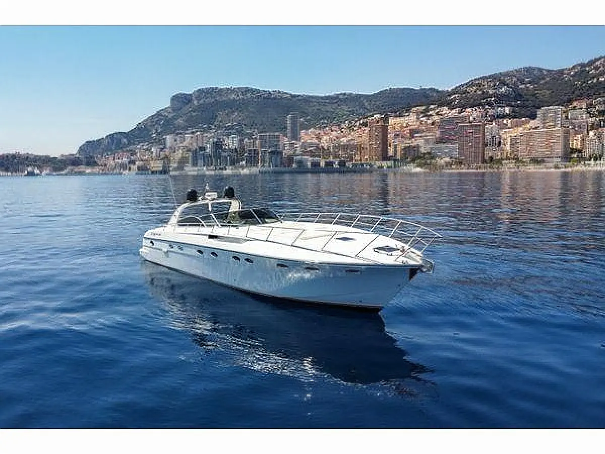 Rizzardi 50 Top Line